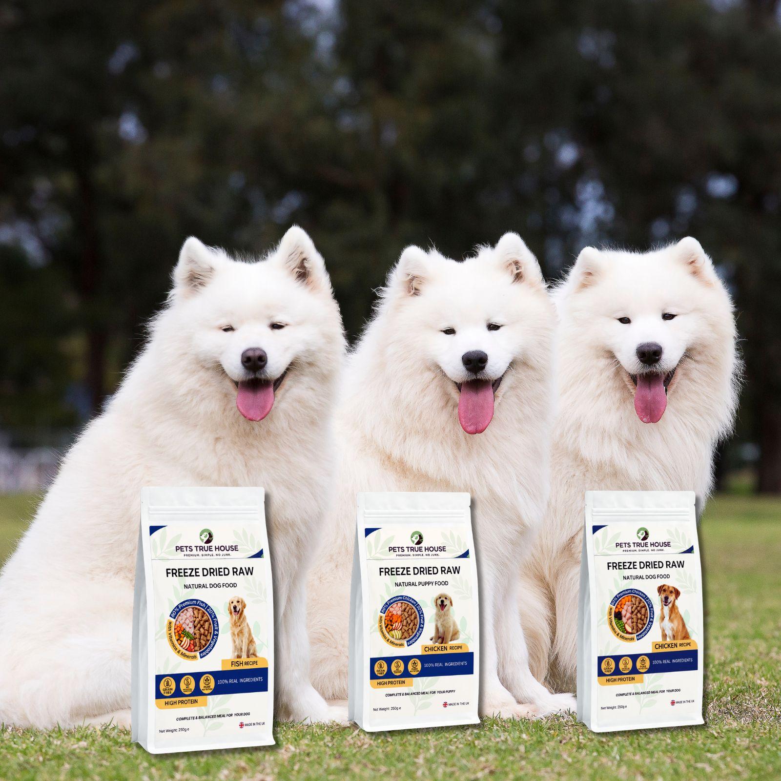 Chicken Freeze-Dried Raw Puppy Food